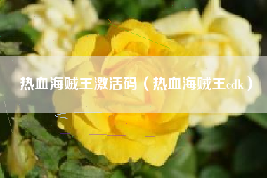 热血海贼王激活码（热血海贼王cdk）