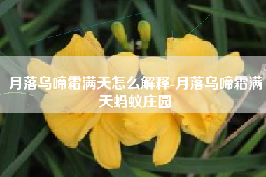 月落乌啼霜满天怎么解释-月落乌啼霜满天蚂蚁庄园