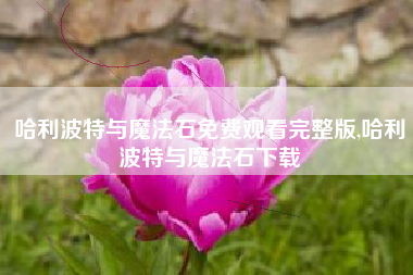 哈利波特与魔法石免费观看完整版,哈利波特与魔法石下载
