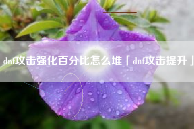 dnf攻击强化百分比怎么堆「dnf攻击提升」