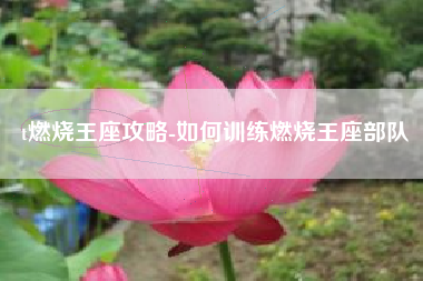 t燃烧王座攻略-如何训练燃烧王座部队