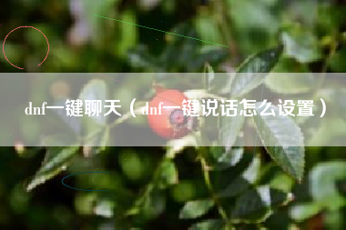 dnf一键聊天（dnf一键说话怎么设置）