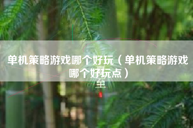 单机策略游戏哪个好玩（单机策略游戏哪个好玩点）