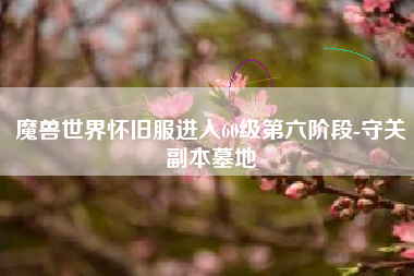 魔兽世界怀旧服进入60级第六阶段-守关副本墓地