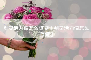 剑灵活力值怎么恢复「剑灵活力值怎么存储」