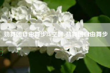 劲舞团自由舞步8k空翻-劲舞团自由舞步