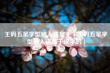 王码五笔字型输入法属于「王码五笔字型输入法属于汉字的」