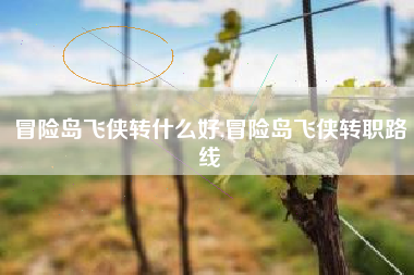 冒险岛飞侠转什么好,冒险岛飞侠转职路线