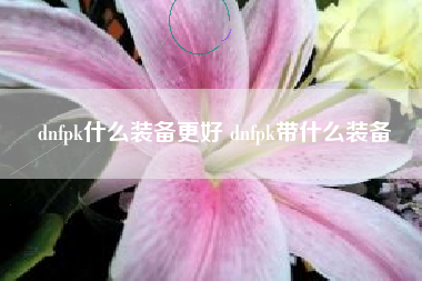 dnfpk什么装备更好 dnfpk带什么装备