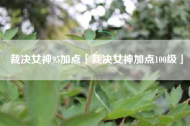 裁决女神95加点「裁决女神加点100级」