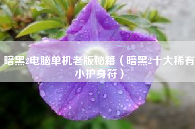 暗黑2电脑单机老版秘籍（暗黑2十大稀有小护身符）