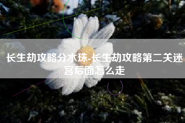 长生劫攻略分水珠-长生劫攻略第二关迷宫后面怎么走