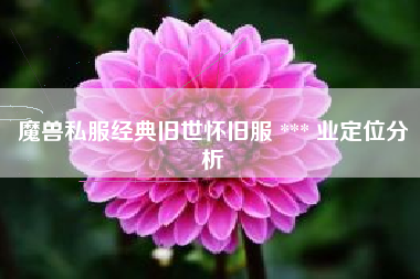 魔兽私服经典旧世怀旧服 *** 业定位分析