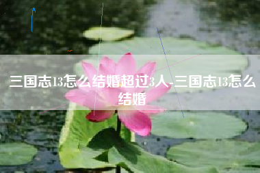三国志13怎么结婚超过3人-三国志13怎么结婚