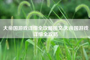 大帝国游戏详细全攻略图文,大帝国游戏详细全攻略