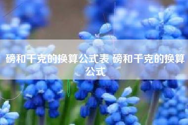磅和千克的换算公式表 磅和千克的换算公式