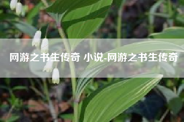 网游之书生传奇 小说-网游之书生传奇