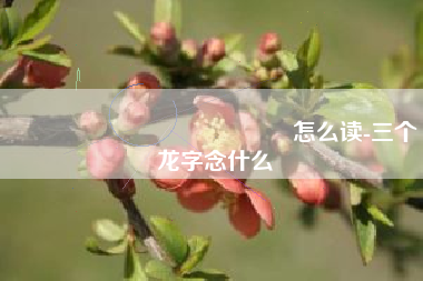 龘靐齉爩龘靐齉齾爩麤灪龖怎么读-三个龙字念什么
