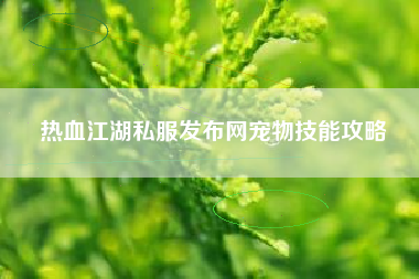 热血江湖私服发布网宠物技能攻略