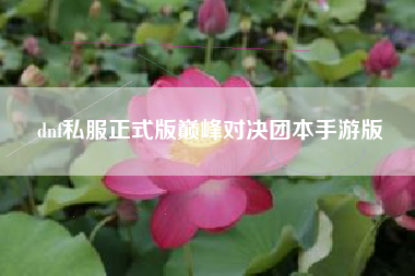 dnf私服正式版巅峰对决团本手游版
