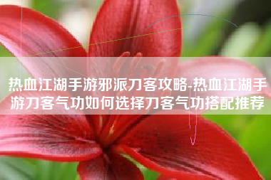 热血江湖手游邪派刀客攻略-热血江湖手游刀客气功如何选择刀客气功搭配推荐