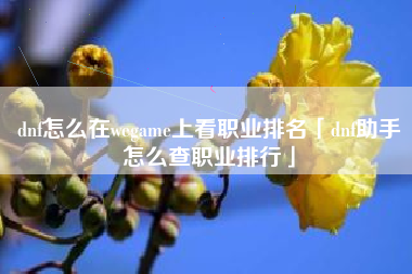 dnf怎么在wegame上看职业排名「dnf助手怎么查职业排行」