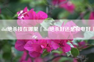 dnf绝杀技在哪里「dnf绝杀好还是极电好」