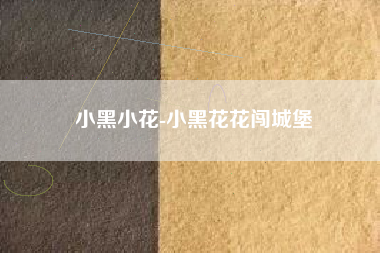 小黑小花-小黑花花闯城堡