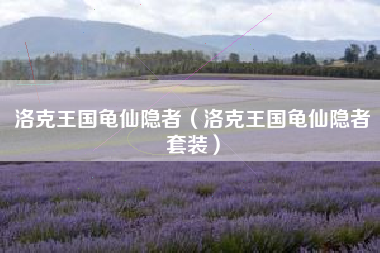 洛克王国龟仙隐者（洛克王国龟仙隐者套装）