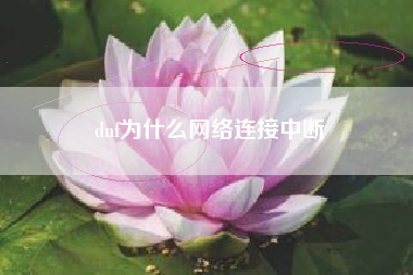 dnf为什么网络连接中断