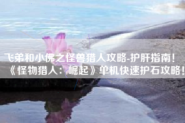 飞弟和小佛之怪兽猎人攻略-护肝指南！  《怪物猎人：崛起》单机快速护石攻略！