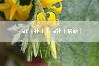 dnf18+补丁「dnf补丁最新」