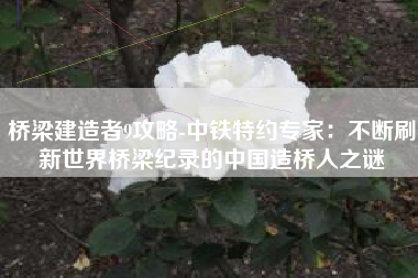 桥梁建造者9攻略-中铁特约专家：不断刷新世界桥梁纪录的中国造桥人之谜