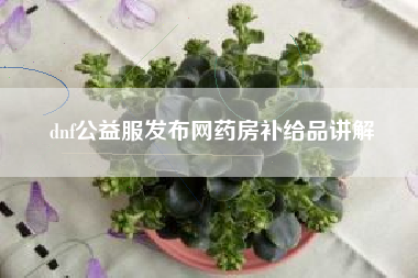 dnf公益服发布网药房补给品讲解