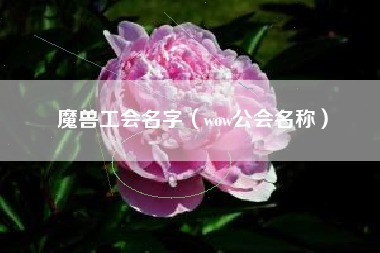 魔兽工会名字（wow公会名称）