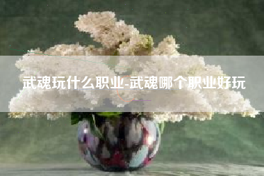 武魂玩什么职业-武魂哪个职业好玩