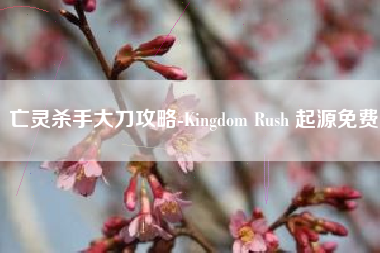 亡灵杀手大刀攻略-Kingdom Rush 起源免费