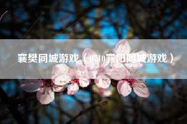 襄樊同城游戏（0710襄阳同城游戏）