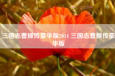 三国志曹操传豪华版2014 三国志曹操传豪华版