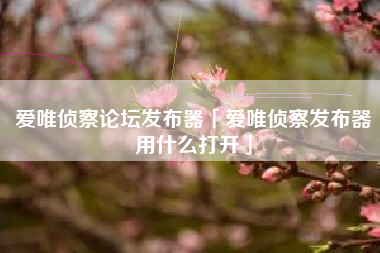 爱唯侦察论坛发布器「爱唯侦察发布器用什么打开」