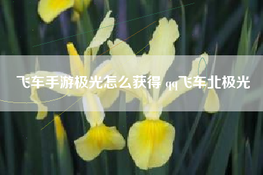 飞车手游极光怎么获得 qq飞车北极光