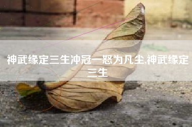 神武缘定三生冲冠一怒为凡尘,神武缘定三生