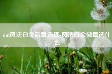 dnf风法白金徽章选择-风法白金徽章选什么