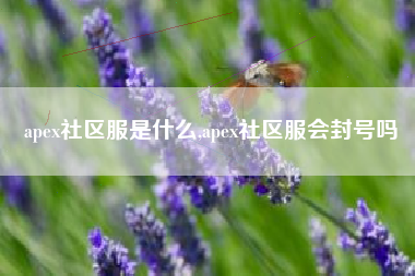 apex社区服是什么,apex社区服会封号吗