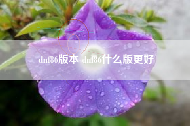 dnf86版本 dnf86什么版更好