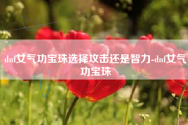 dnf女气功宝珠选择攻击还是智力-dnf女气功宝珠