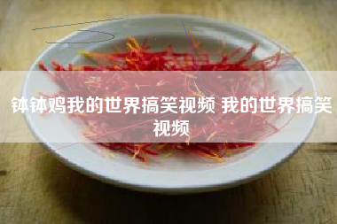 钵钵鸡我的世界搞笑视频 我的世界搞笑视频
