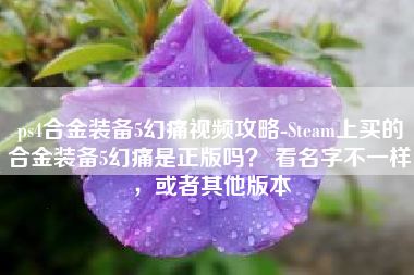 ps4合金装备5幻痛视频攻略-Steam上买的合金装备5幻痛是正版吗？ 看名字不一样，或者其他版本