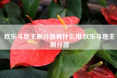 欢乐斗地主刷分器有什么用,欢乐斗地主刷分器