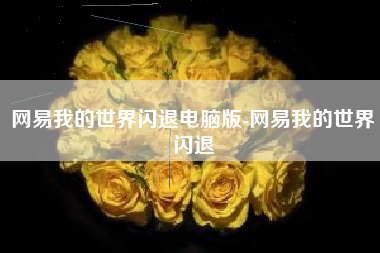 网易我的世界闪退电脑版-网易我的世界闪退